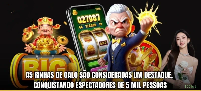 Apostas esportivas ao vivo na 1775win